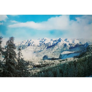 โปสเตอร์ รูปถ่าย ภูเขาหิมะ วิว ธรรมชาติ Landscapes Nature POSTER 24”x35” Inch High Mountain Range Snow Pine Forest