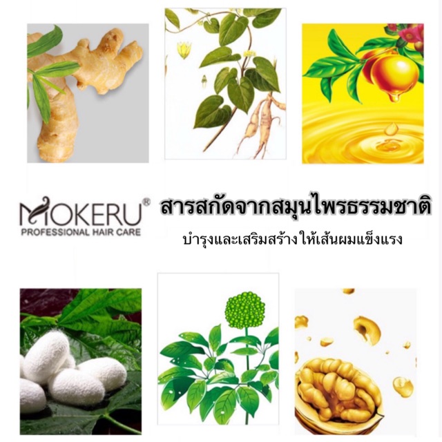 mokeru-1แถม1-แชมพูปิดผมหงอก-แชมพูย้อมผมดำ-ด้วยสารสกัดสมุนไพร