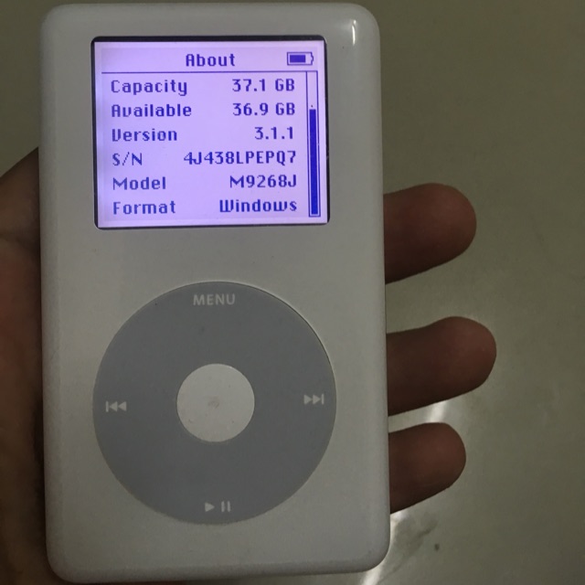 APPLE iPod M9268J A 高質 - ポータブルプレーヤー