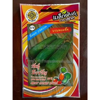 เมล็ดบวบหอมสั้น 10 แถม 1 บวบหอมสั้น บวบหอม พันธุ์มิ่งขวัญ short sponge gourd เมล็ดพันธุ์ผัก บวบ