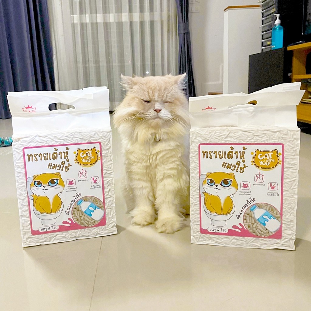 neko-care-ทรายแมวเต้าหู้-ทรายแมวกลิ่นนมฮอกไกโด-เก็บกลิ่นดี-ไม่ติดเท้าแมว-ตักทิ้งชักโครกได้-1ถุง-ขนาด-6-ลิตร