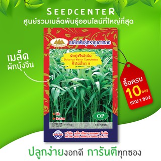 ภาพขนาดย่อของภาพหน้าปกสินค้าเมล็ดผักบุ้งจีนใบไผ่คัดพิเศษ จากร้าน seedcenter บน Shopee