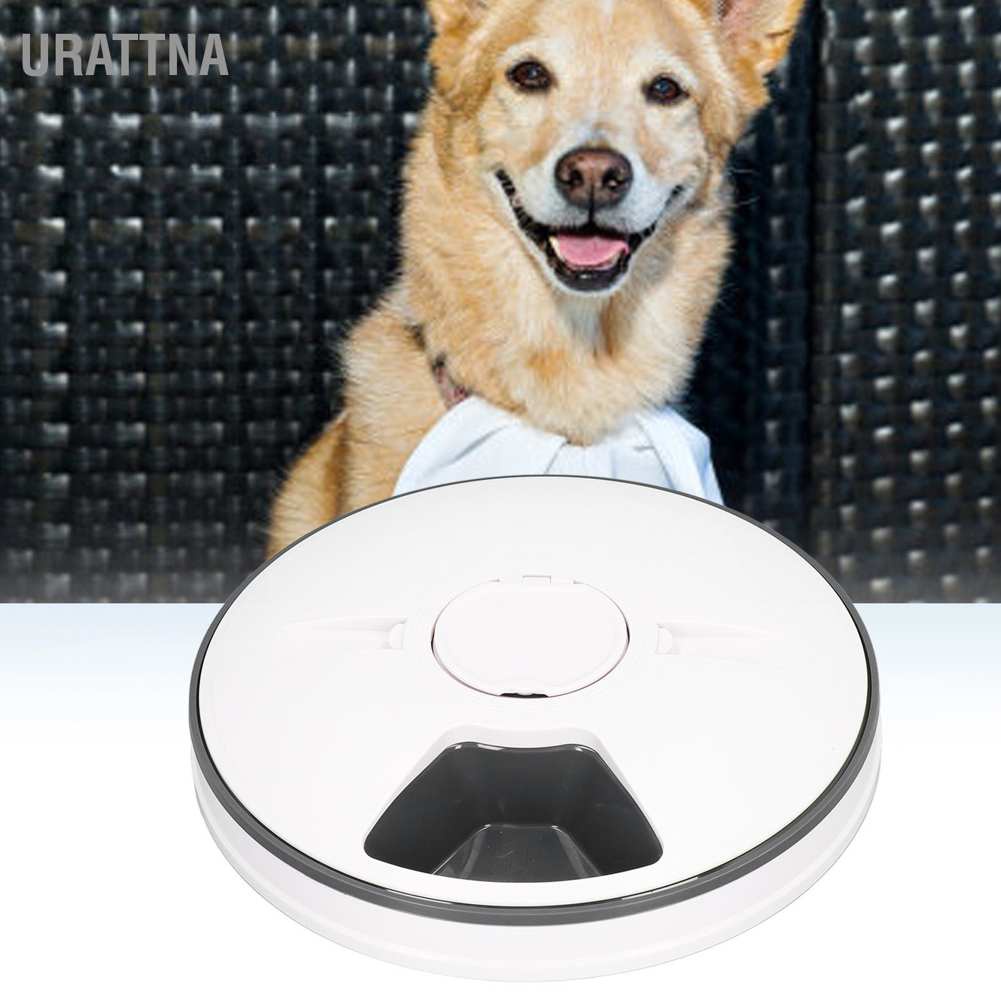 urattna-เครื่องให้อาหารสุนัขอัตโนมัติ-แบบตั้งเวลา-ควบคุมส่วนอัจฉริยะ-พร้อมเสียงเตือน-สําหรับสุนัขขนาดเล็ก-ลูกสุนัข