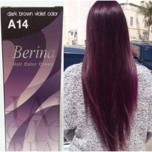 ครีมย้อมผมเบอริน่าสี A14 สีน้ำตาลเข้มประกายม่วง | Shopee Thailand