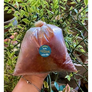 ส้มไข่ปลาไข่ปลาดอง (ถุงใหญ่ 1 กก.) ของฝากจากเมืองพะเยา photo
