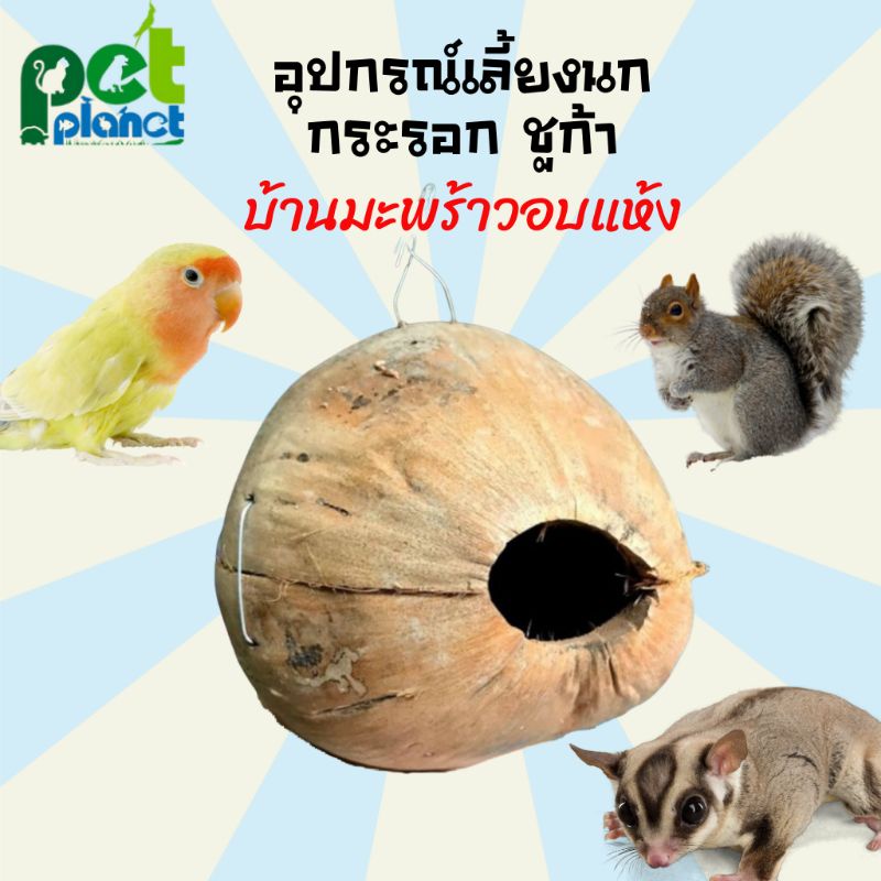 342dda55bea9b176b68a6e355ffc2170