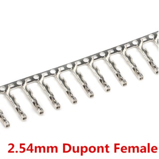 ภาพหน้าปกสินค้า100 ชิ้น 2 . 54 มม. Dupont Pin อุปกรณ์ขั้วต่อสายเคเบิ้ลเชื่อมต่อ Female Pin Terminal Kit ซึ่งคุณอาจชอบราคาและรีวิวของสินค้านี้