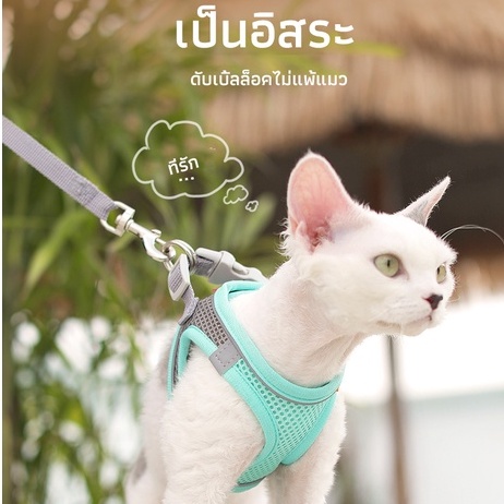 สายจูง-สายจูงแมว-สายจูงสัตว์เลี้ยง-ปลอกคอแมว-เชือกจูงแมว-มี-3-สี-cat-harness
