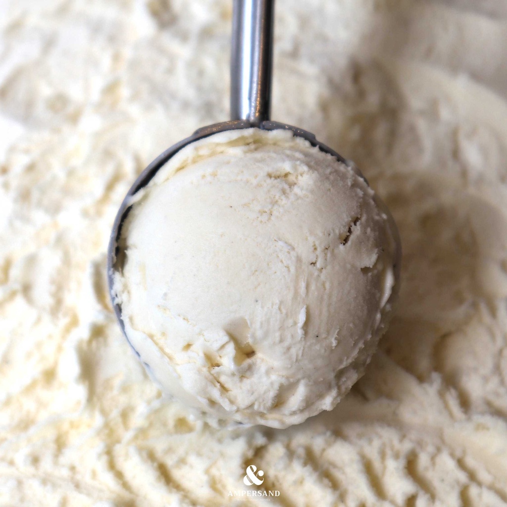 vanilla-เจลาโต้-วนิลลา-ขนาด-4-8-16-oz-ส่งทั่วประเทศ-ampersand-gelato