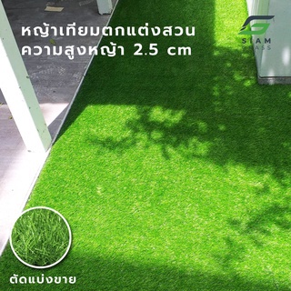 หญ้าเทียมขนยาว2.5 (2x1 m)  หญ้าจัดสวน เริ่มต้น 2 ตารางเมตร หญ้าปลอม หญ้าเทียม รุ่นGR25