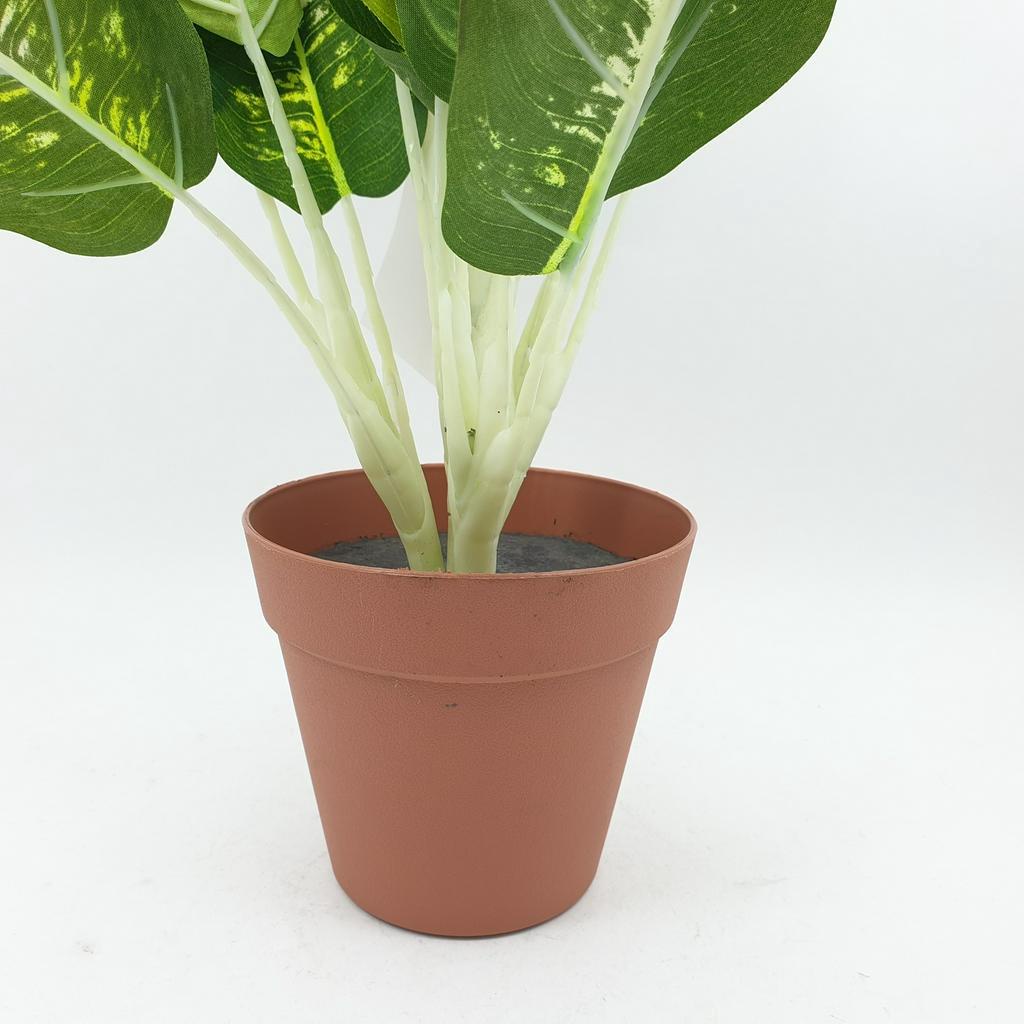 bighot-tree-o-ต้นสาวน้อยประแป้งประดิษฐ์-สูง-40cm-al17t094
