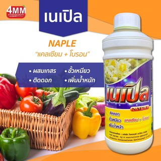 เนเปิล(น้ำส้ม)  แคลเซียมโบรอน 1 ลิตร