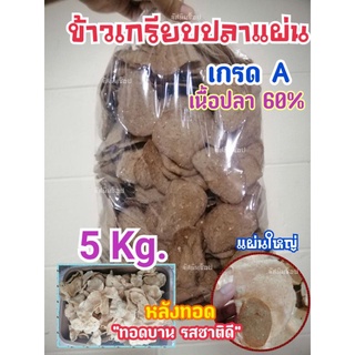 ข้าวเกรียบปลาแผ่น​ เกรด​ A​ ข้าวเกรียบแผ่น​ ข้าวเกรียบปัตตานี​ 5​ กิโลกรัม​