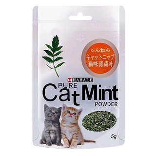 ภาพหน้าปกสินค้า✅ แจกโค้ดในรายละเอียดสินค้า ✅ ⭐สินค้าพร้อมส่ง⭐ กัญชาแมว แคทนิป Catnip แคทมิ้น Catmint แบบผง 5g ที่เกี่ยวข้อง