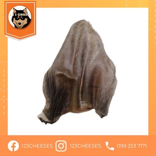 Natural Cow Ear With Fur หูวัวอบแห้ง​ ชนิดหูเต็ม​ สำหรับ​ สุนัข​ ไว้ขัดฟัน​ แทะ​ แก้เบื่อ​ โดย​ 123CHEESES​