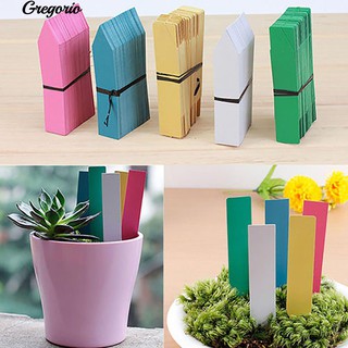 ภาพหน้าปกสินค้าGregorio 100Pcs การ์เด้นการ์เด้น Plant Markers เม็ดพลาสติกป้ายโรงยิมเรือนเพาะชำเมล็ดพันธุ์ ที่เกี่ยวข้อง