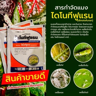 ไดโนทีฟูแรน 20% SG ( 100 กรัม ) สูตรเข้มข้น สารกำจัดแมลง เพลี้ยไฟ เพลี้ยกระโดด เพลี้ยจักจั่น เพลี้ยไก่แจ้ แมลงหวี่ขาว