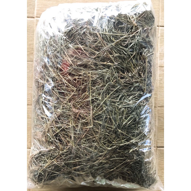 หญ้าแพงโกล่า-1-กิโลกรัม-pangola-grass-1-kg