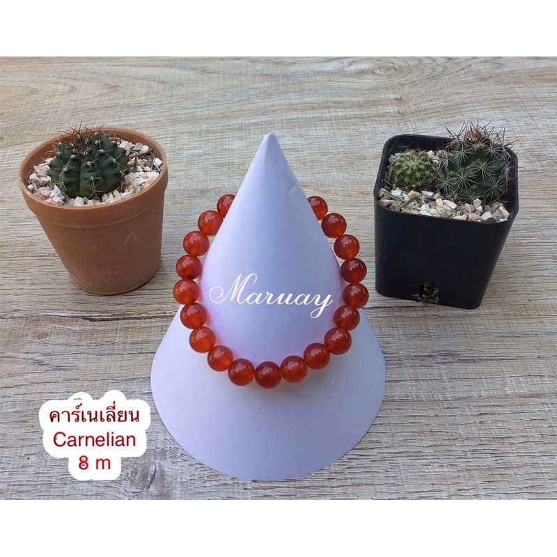 คาเนเลี่ยน-carnelian-แสดเงินแสน8m