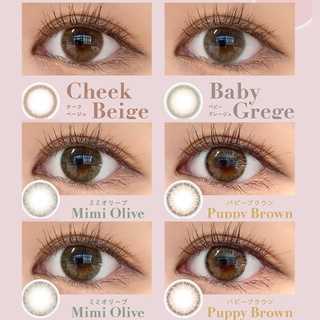 Contactlens คอนแทคเลนส์ญี่ปุ่นรายวัน cheritta