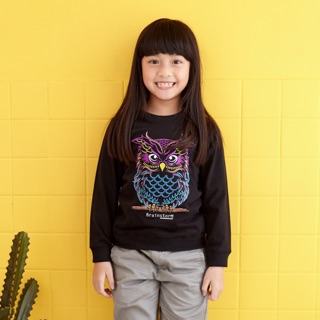 Kid Sweater เสื้อแขนยาวเด็ก งานปัก ลายนกฮูก ผ้านิ่ม COTTON100%