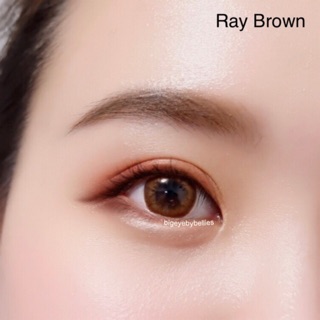 🔥 คอนแทคเลนส์ 🔥ขนาดมินิ ✨Brown✨Ray (sweety)