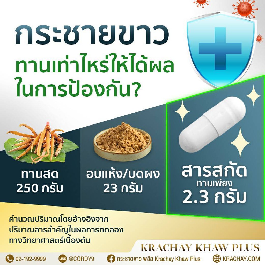 กระชายขาวสกัด-krachay-khaw-plus-สารสกัดจากกระชายขาว-พลูคาว-ขมิ้นชัน-น้ำหนักแคปซูล-600mg-มก-ทานวันละ1เม็ด