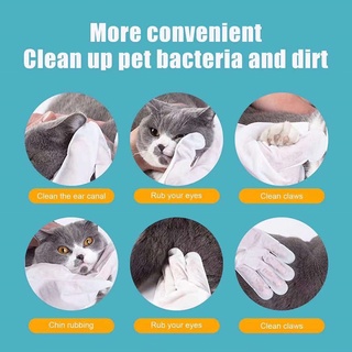 ภาพขนาดย่อของภาพหน้าปกสินค้าถุงมือสัตว์เลี้ยงแบบใช้แล้วทิ้ง ดับกลิ่น glove ถุงมือทำความสะอาดฆ่าเชื้อ ถุงมือทำความสะอาดระงับกลิ่นกายสำหรับแมวและสุนัข จากร้าน hxv8uh3js1 บน Shopee