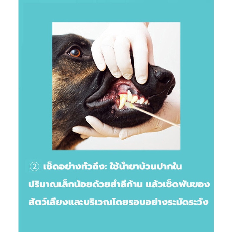 แก้ปัญหาช่องปากแค่ขวดเดียว-ขจัดคราบฟัน-เหม็นปาก-จุดดำได้เร็ว-ปลอดภัย-สูตรจากพืช-น้ำยาบ้วนปากสุนัข-น้ำยาบ้วนปากแมว