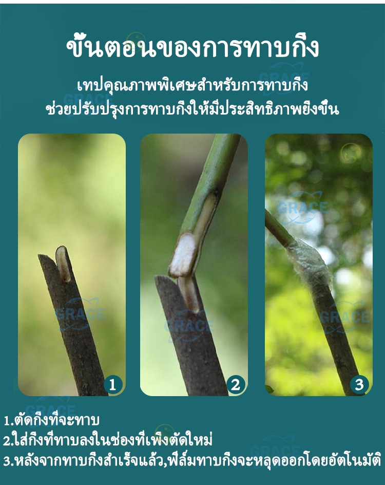 ภาพประกอบของ 3cmx120m เทปพันกิ่งไม้ อุปกรณ์ทำสวน เทปพันตอนกิ่ง อุปกรณ์การเกษตร เทปพันกิ่งทาบ พลาสติกทาบกิ่ง เทปติดตาต้นไม้