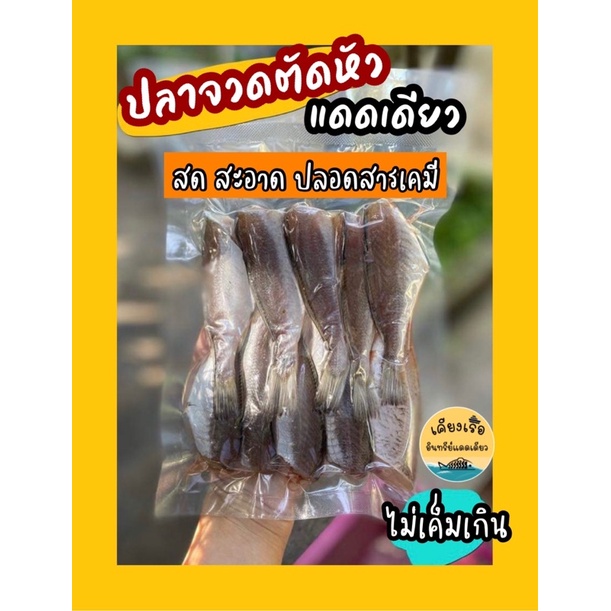 ภาพหน้าปกสินค้าปลาจวดตัดหัว/ปลาจวดแดดเดียว/สด ใหม่ จากเรือ/อาหารทะเลแปรรูป