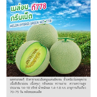 เมล็ดพันธุ์ เมล่อน กรีนเน็ต - Melon Green Net ตราดอกแตง เมล็ดพันธุ์ 50 เมล็ด (ไม่ใช่พืชที่มีชีวิต)