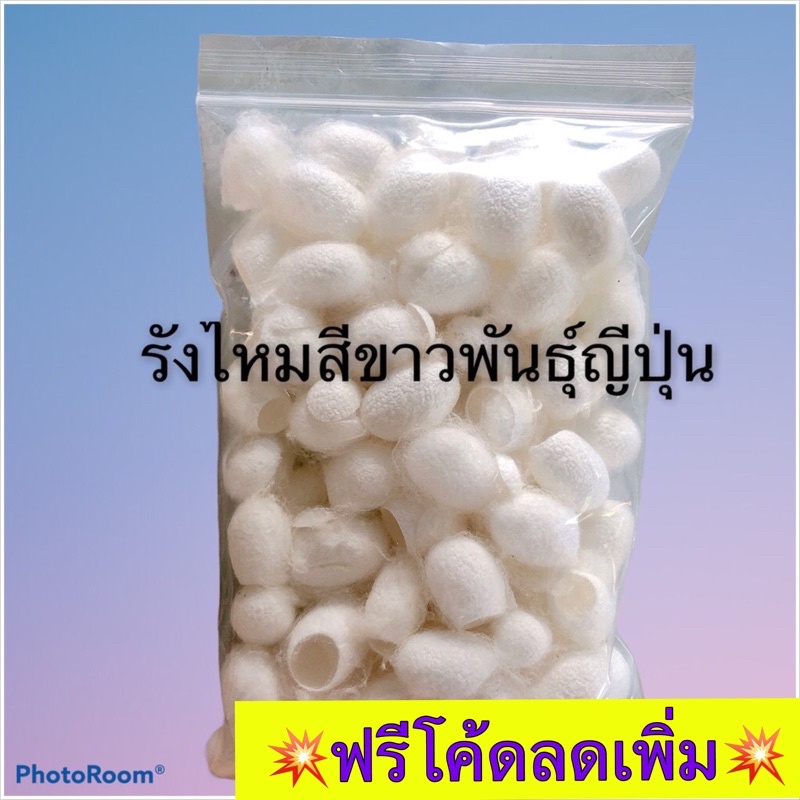 รังไหมสีขาวญี่ปุ่น-รังไหมสีขาวไซส์ใหญ่-ไม่ลอกไย-รังไหมคุณภาพดี