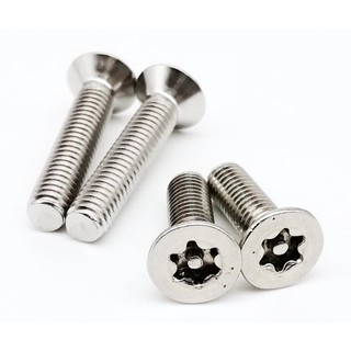 น็อตสแตนเลสหัวดาวมีเดือยโผล่ M6*20mm Torx Flat Head with Pin Tamper Proof Anti Theft Security Screw Bolt