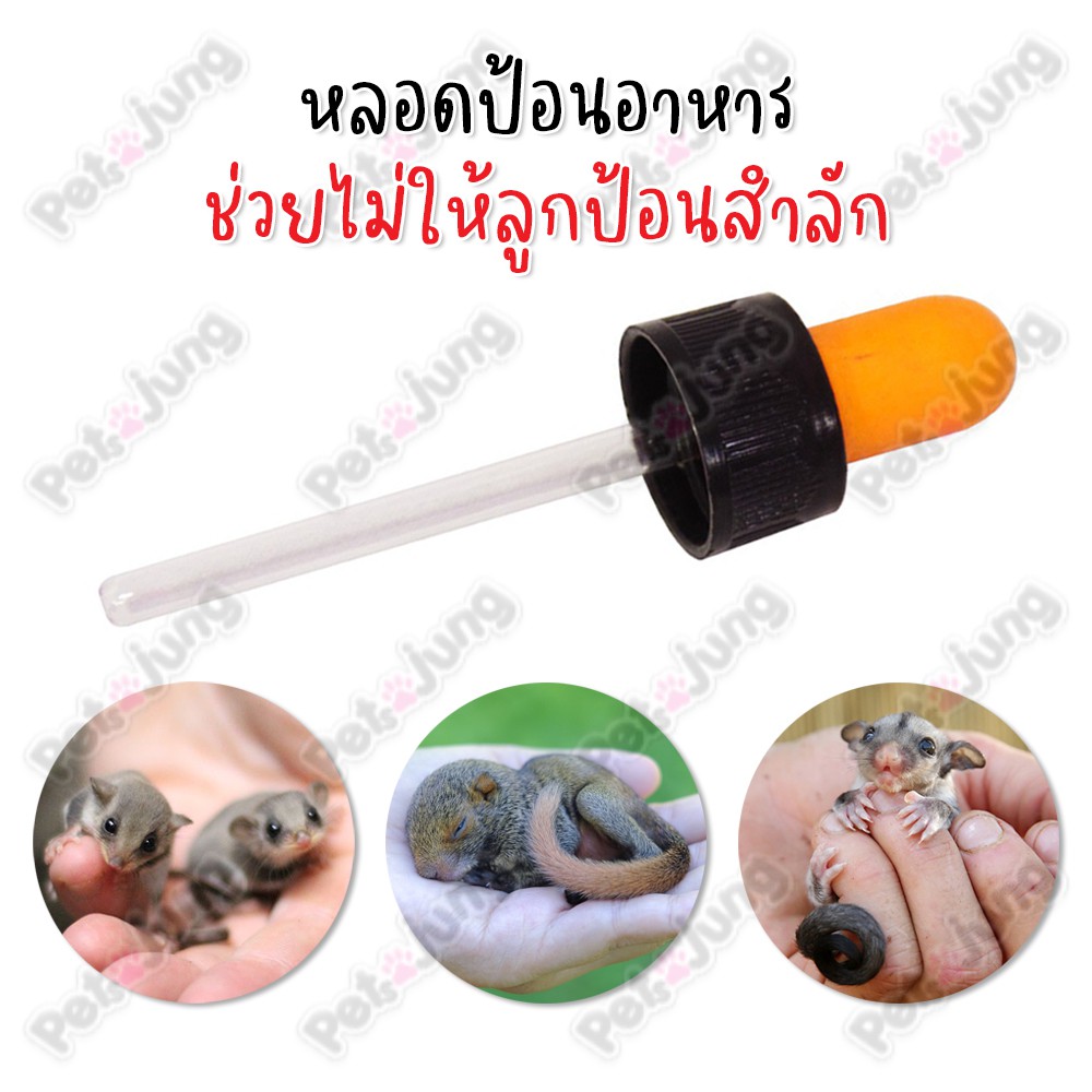 ภาพหน้าปกสินค้าดรอปเปอร์ dropper หลอดป้อน หลอดป้อนนม ลูกป้อน ชูการ์ไกลเดอร์ กระรอก ดอร์เมาส์ จากร้าน petsjung บน Shopee