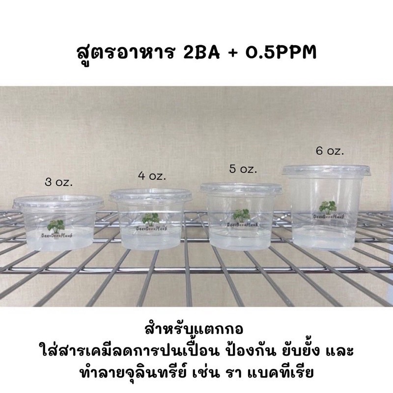 ภาพสินค้าจัดเซต 6 + PPM - อาหารเพาะเลี้ยงเนื้อเยื่อพืช จากร้าน bonnie.planttissue บน Shopee ภาพที่ 2