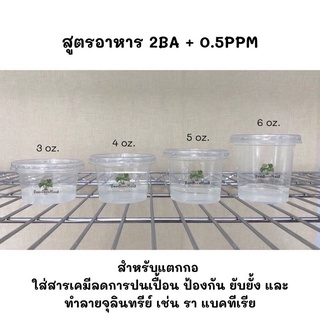 ภาพขนาดย่อของภาพหน้าปกสินค้าจัดเซต 6 + PPM - อาหารเพาะเลี้ยงเนื้อเยื่อพืช จากร้าน bonnie.planttissue บน Shopee ภาพที่ 2