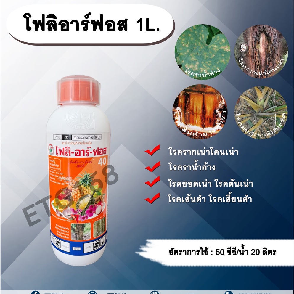 โฟลิอาร์ฟอส-1l-กรดฟอสโฟนิก-สารกำจัดเชื้อรา-โรครากเน่าโคนเน่า-โรคยอดเน่า-โรคต้นเน่า-โรคเส้นดำ-โรคเสี้ยนดำ-โรคพืช