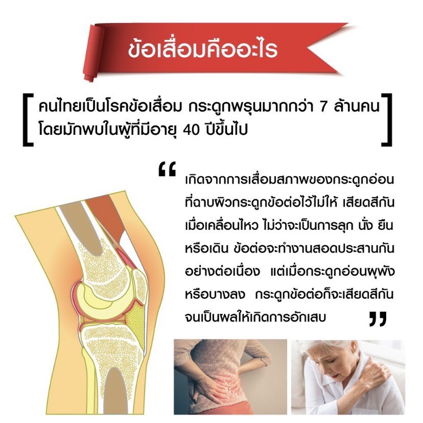 calcium-แคลเซียม-เพิ่มความสูง-บำรุงกระดูก-ซ่อมแซมกระดูก-เสริมสร้างกระดูก-กับ-แคล-ดี-แมก600-cal-d-mag-600