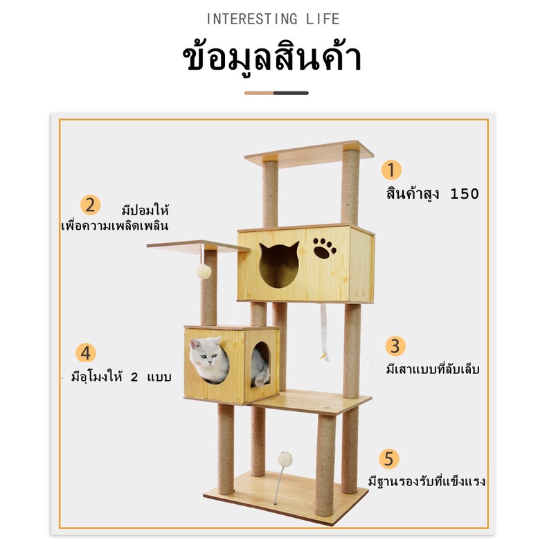 p209-สินค้าอยู่ในไทย-พร้อมส่ง-คอนโดแมว-เสาลับเล็บแมวได้-สูง150cm