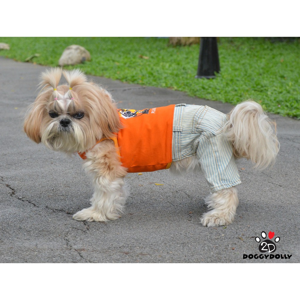 pet-cloths-doggydolly-เสื้อผ้าแฟชั่น-เสื้อผ้าสัตว์เลี้ยง-เสื้อผ้าสุนัข-เสื้อหมาแมว-ชุดกางเกง-c347