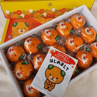 ส้มมิกังญี่ปุ่น Ehime Mikan 🍊🍃 ไร้เมล็ด กลิ่นหอมหวาน มาในpackgaingน้องหมีส้มสุดน่ารัก ผลไม้