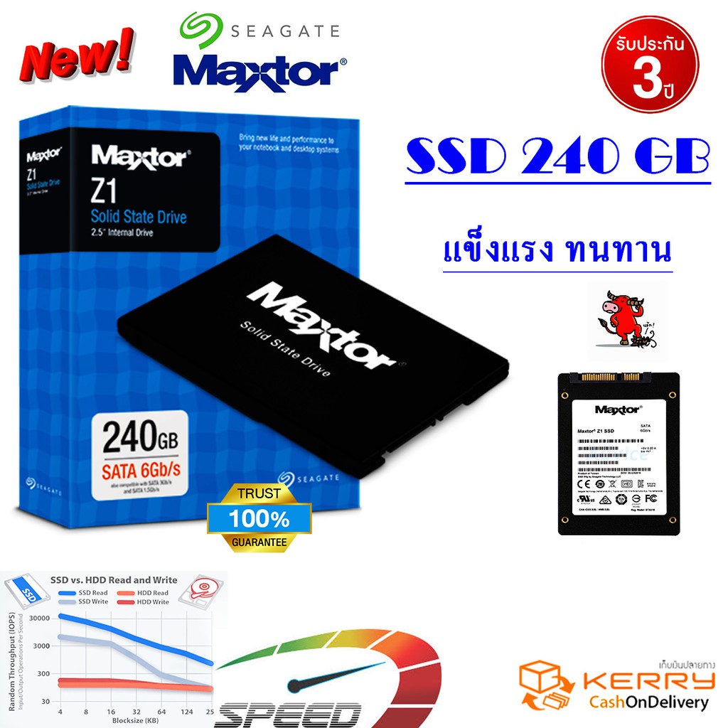 SSD 240GB Maxtor Seagate ความเร็วสูง ทนทาน รับประกัน3ปี (รุ่นใหม่ขายดี) |  Shopee Thailand