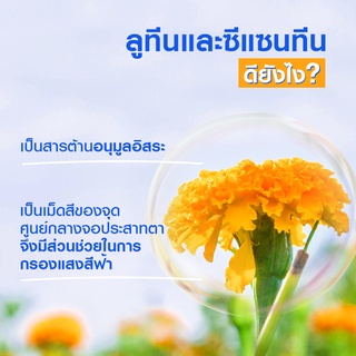 ภาพขนาดย่อของภาพหน้าปกสินค้าBlackmores Lutein-Vis แบลคมอร์ส ลูทีน-วิส 60 แคปซูล (สารสกัดจากดอกดาวเรือง) จากร้าน healthmall88 บน Shopee ภาพที่ 2