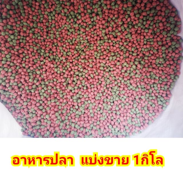 อาหารปลาแบ่งขาย-1กิโลกรัม-ถูกพร้อมส่ง