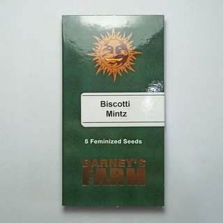 Feminized cannabis seeds Barneys farm Biscotti Mintz 5pc