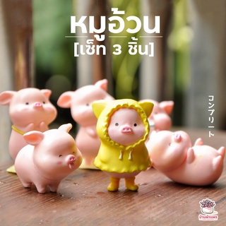 หมูอ้วน เซ็ท 6 ชิ้น ตุ๊กตาจิ๋ว โมเดลจิ๋ว แต่งสวน