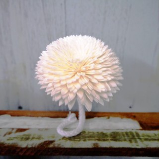 ดอกเยบีร่า Chrysanthemum ขนาด 8 ซม แบบเชือกลวด