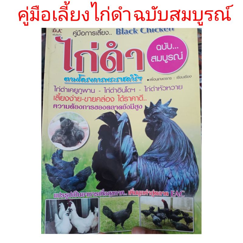 การเพาะเลี้ยงไก่ดำ-เลี้ยงง่าย-ขายคล่อง-ได้ราคา