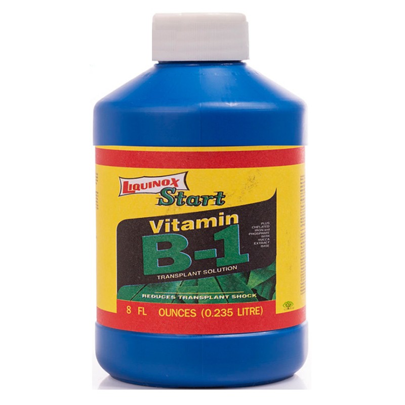 b1-เร่งราก-liquinox-start-usa-นำเข้าจากอเมริกา-ยาเร่งราก-บี1-ฟื้นฟูต้นไม้-เร่งรากไม้ด่าง-เร่งรากแคคตัส